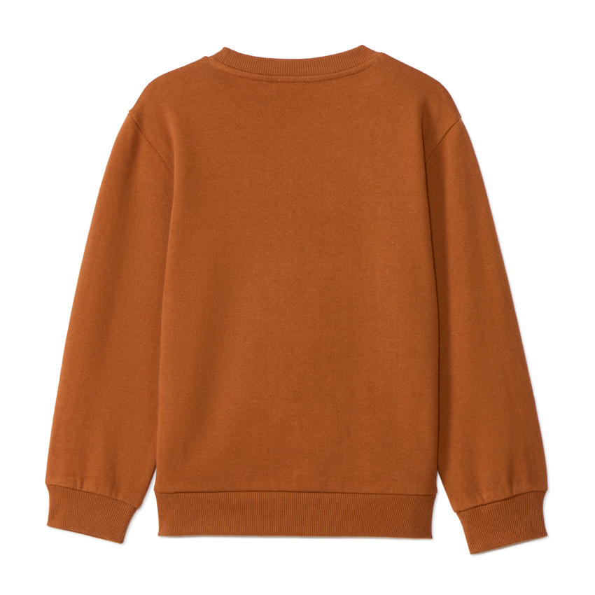 Sweatshirt in fleece met fantasieborduring jongens 
