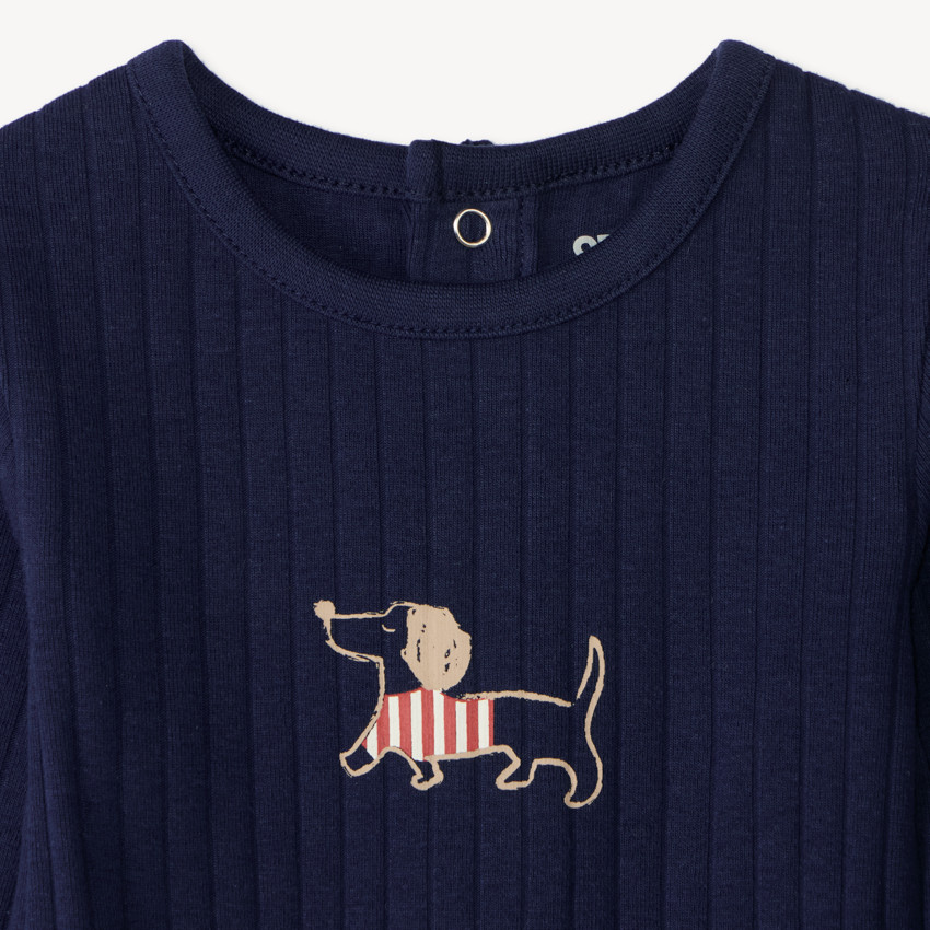 Set van 3 lange mouwen rompers voor jongens met een teckelmotief 