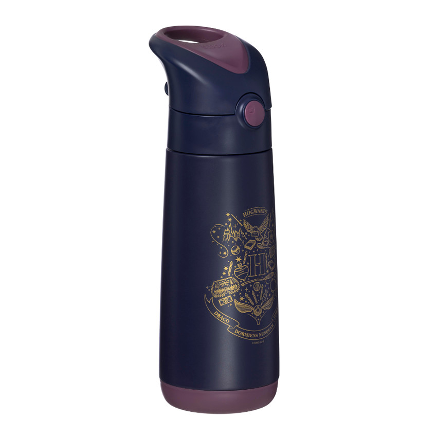 Gourde isotherme avec paille 500ml Harry Potter 