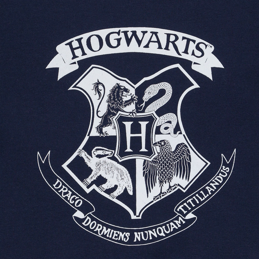 Sweatshirt en jogging Harry Potter Warner voor jongens 