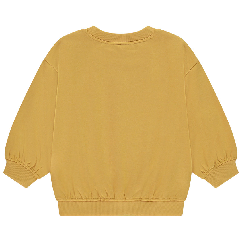 Fleece sweatshirt oversized met fantasieprint voor baby jongen 