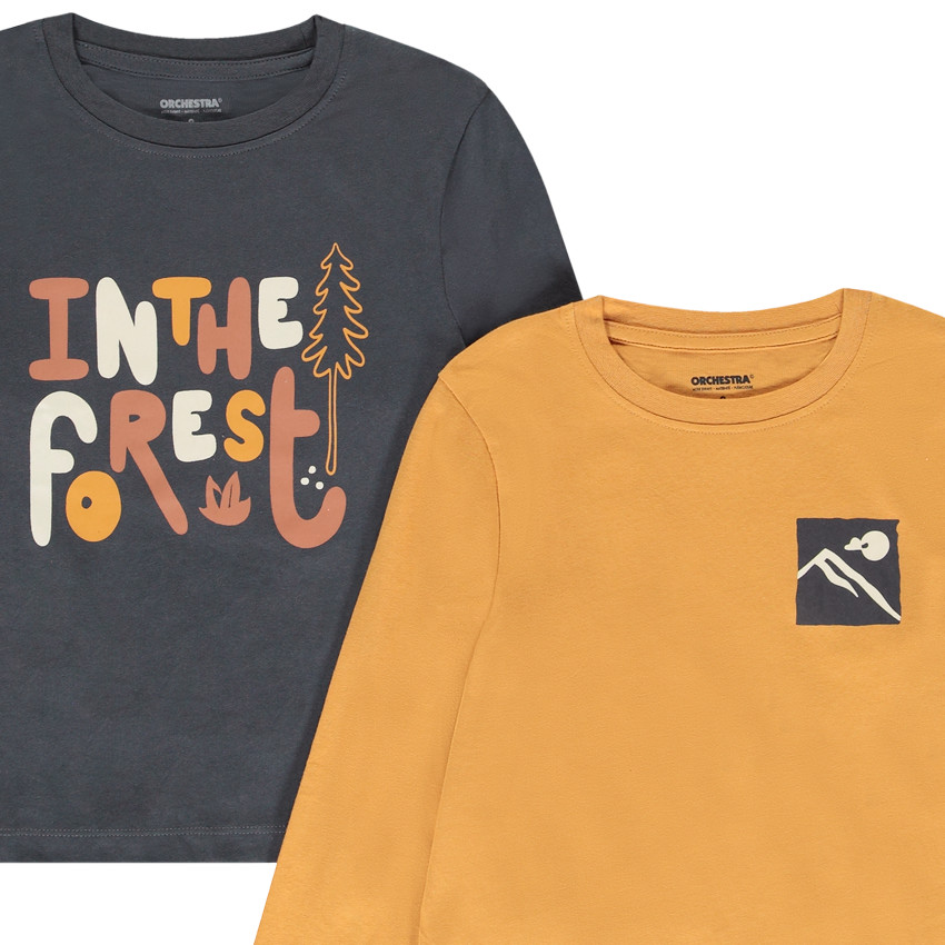 Lot de 4 t-shirts manches longues fantaisie pour garçon 