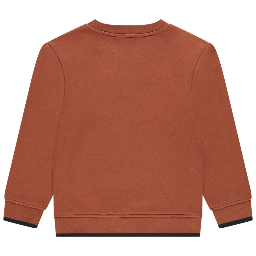 Sweatshirt in molleton en fluweel met borduursel voor jongens 