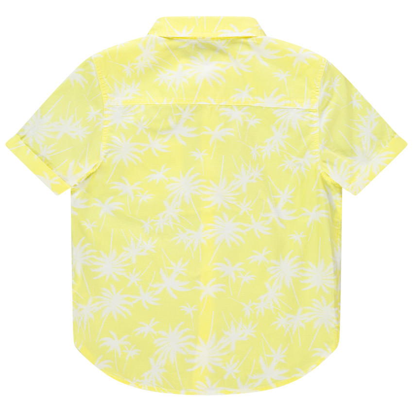 Chemise manches courtes à palmiers imprimés all-over 