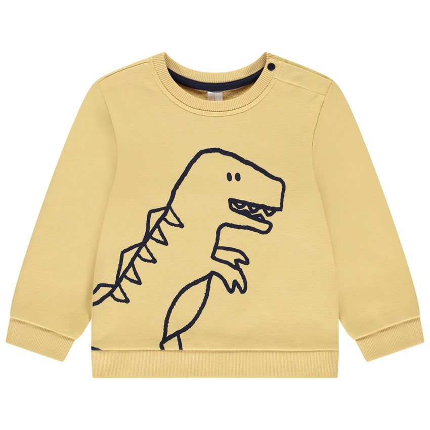 Sweat molleton print dino pour bébé garçon 