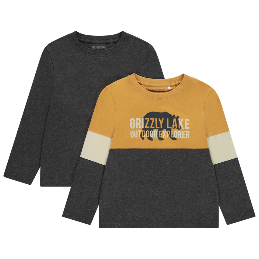 Set van 2 t-shirts met lange mouwen en colour block effect voor jongens 