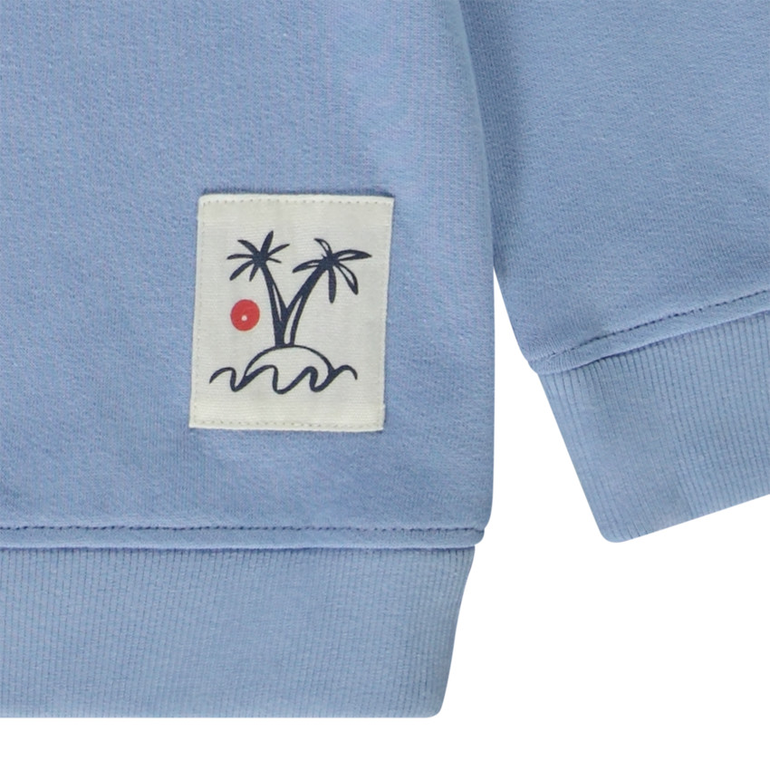 Sweat à capuche en molleton uni pour garçon 