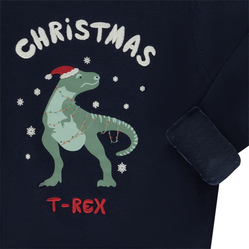 Gebreide trui met dinosaurusprint voor jongen 