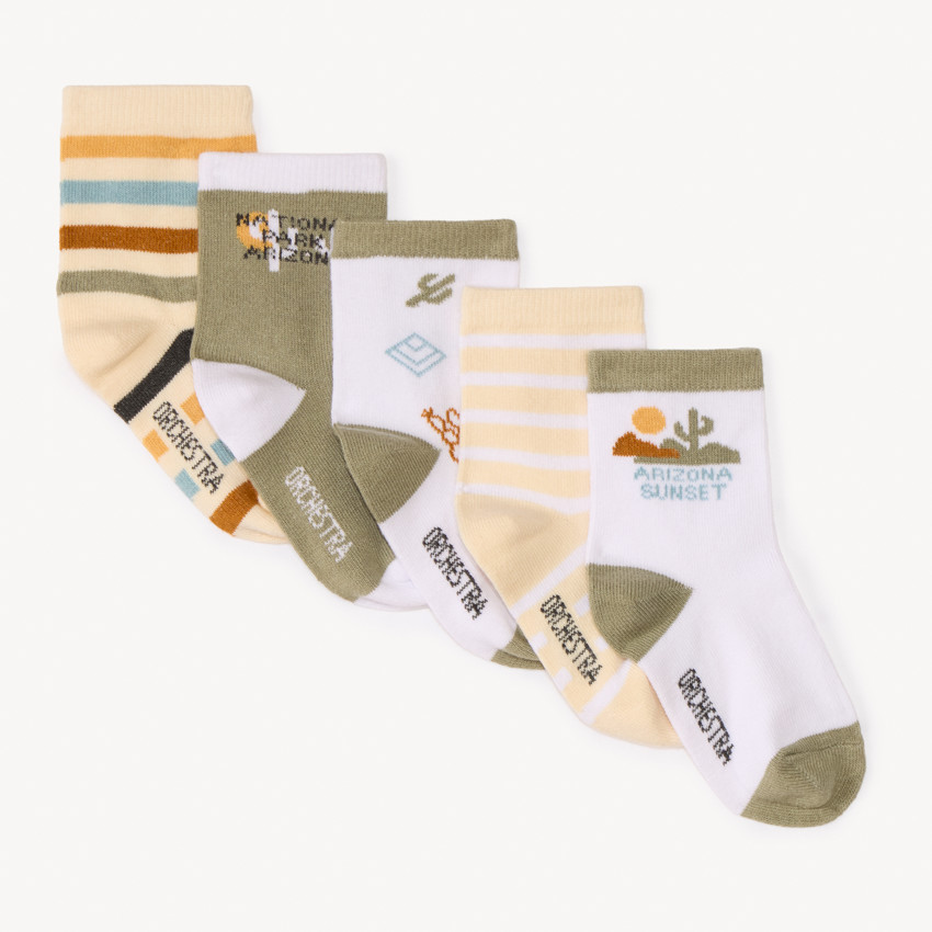 Lot de 5 paires de chaussettes motifs cactus pour bébé garçon 
