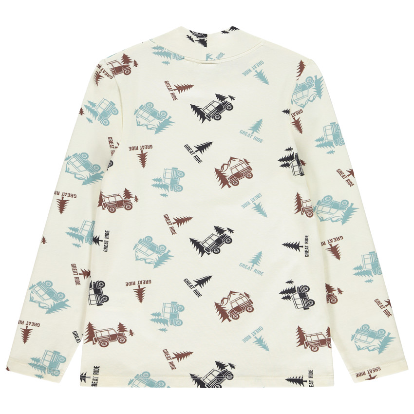 Sous-pull imprimé pick-up fantaisie + col cheminé pour garçon 