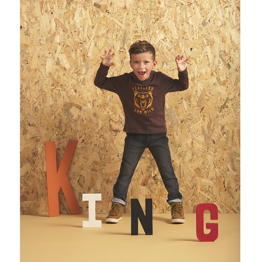 T-shirt met lange mouwen en kap, met opgedrukte leeuw, voor jongens 