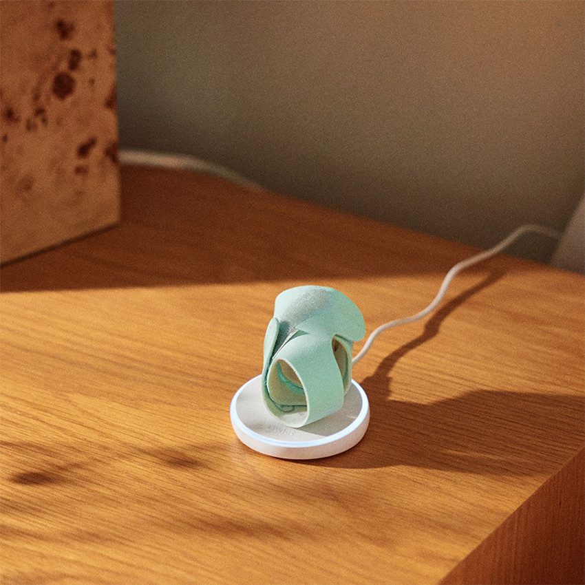 Pack Videobabyfoon + Dream Sock Mint 