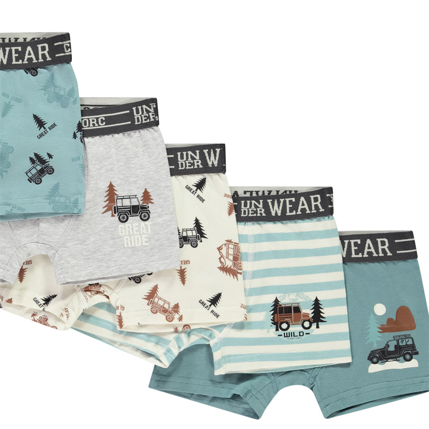 Set van 5 boxershorts met road trip motieven voor jongens 