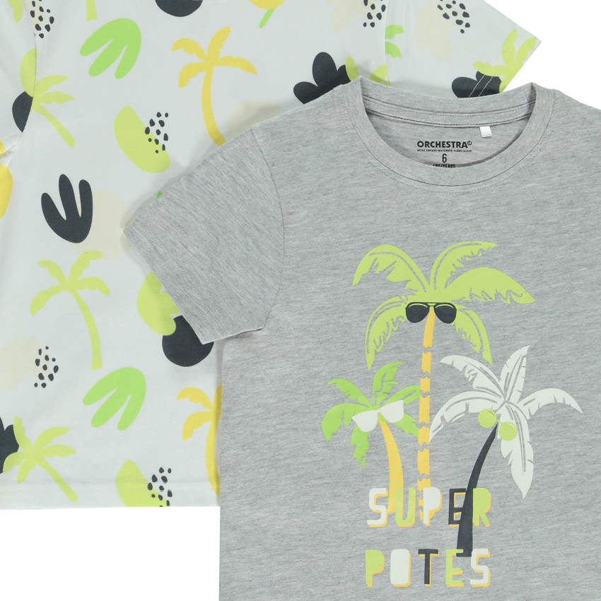 Set van 2 t-shirts korte mouwen met palmen voor jongens 