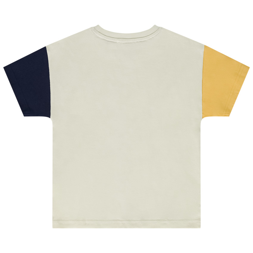 T-shirt manches courtes color block print dino pour garçon 
