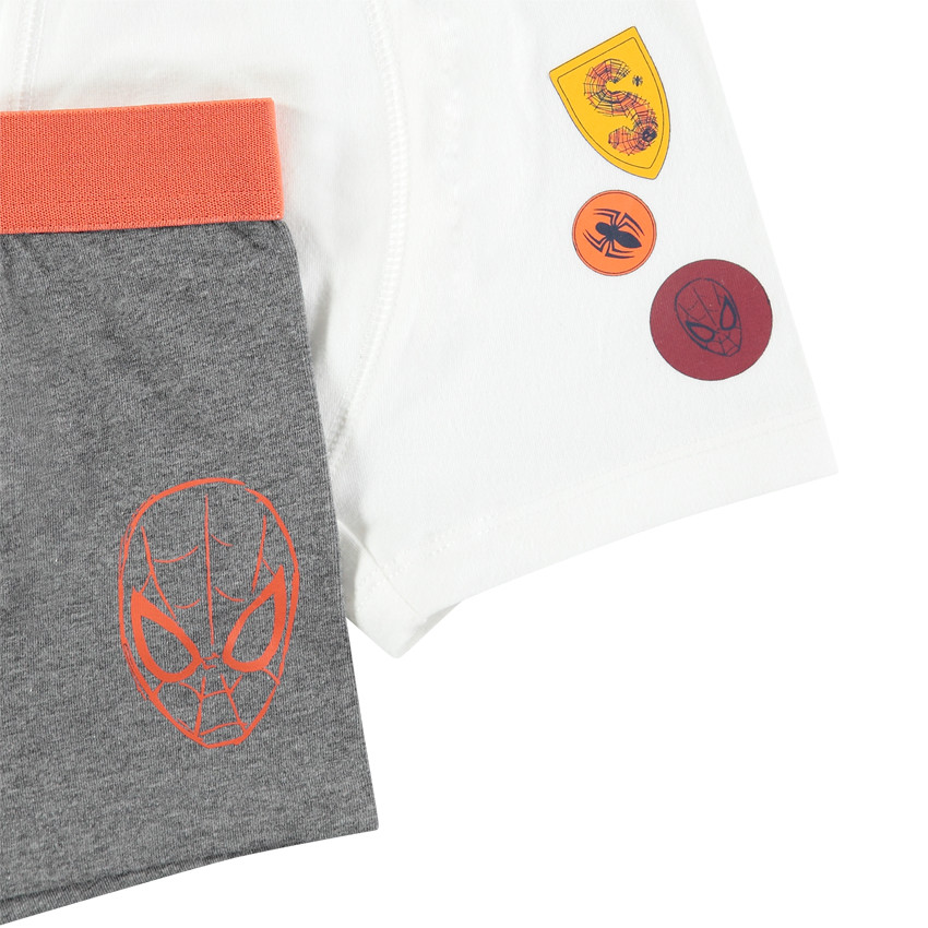 Set van 2 boxers uit katoen van &copy;Marvel Spiderman 