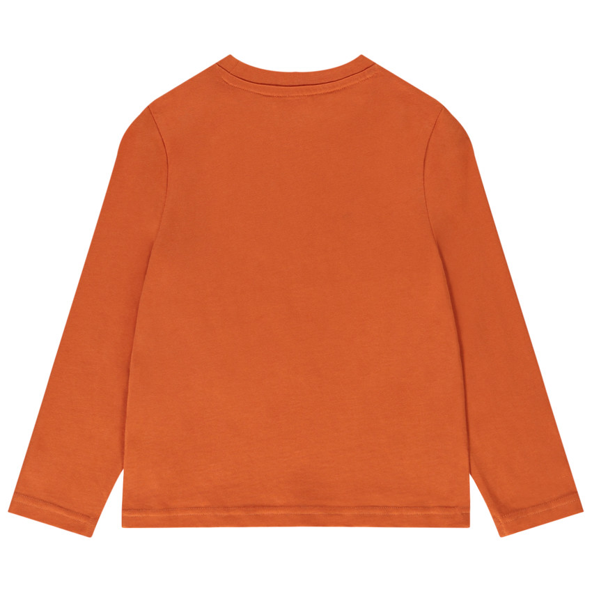 T-shirt manches longues en jersey print fantaisie pour garçon 