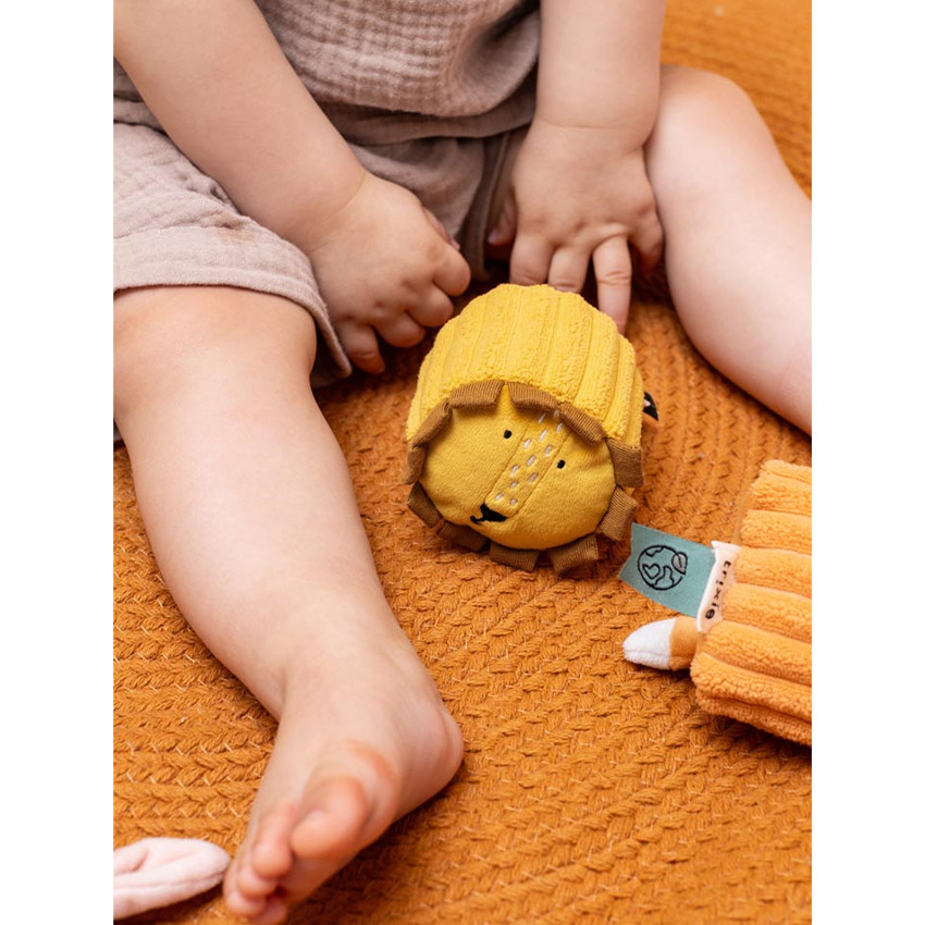 Jouet 1er age - Blocs sensoriels - 4 animaux  