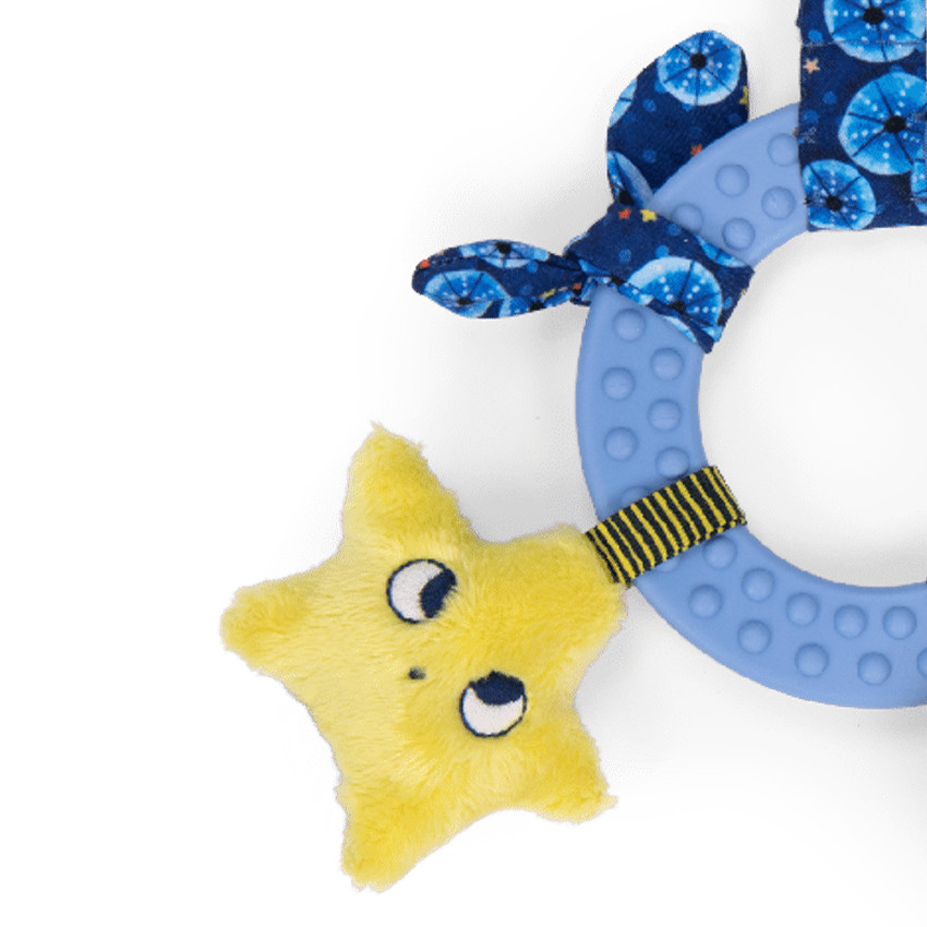 Activiteitenring De avonturen van Paulie  