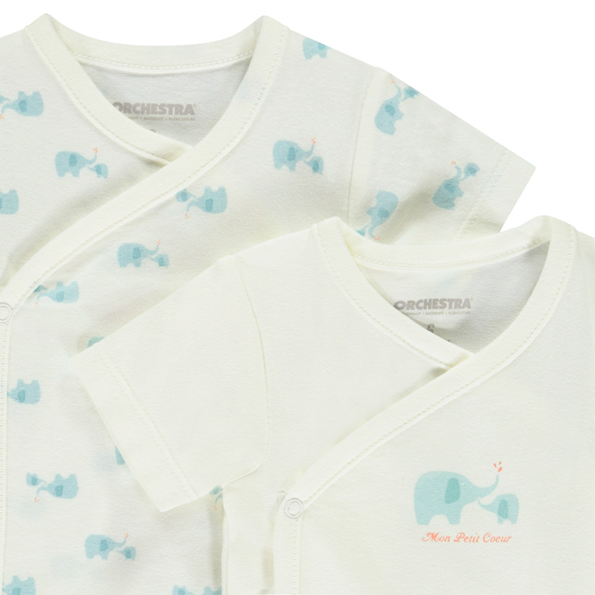 Lot de 2 bodies manches courtes motifs éléphants pour bébé garçon 