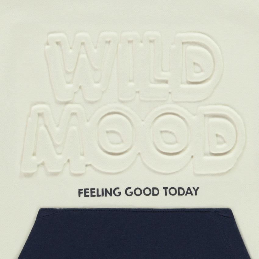 Sweat effet color block avec motif en relief pour garçon 