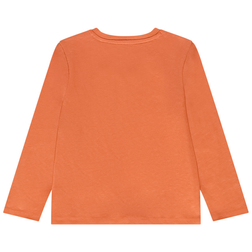 T-shirt manches longues en jersey print Le Roi Lion Disney pour garçon 