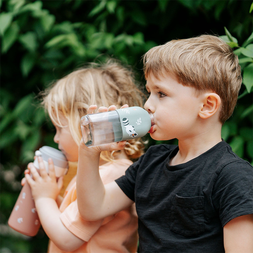 Gourde nomade MB Positive S Raccoon 330 ml  