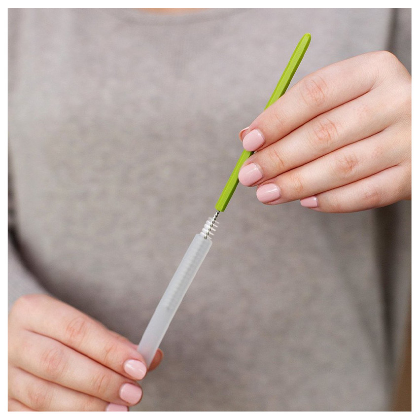 Lot de 4 goupillons cactus 