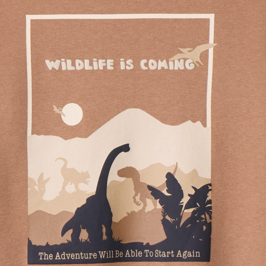 Sweat en molleton uni avec print et puff print fantaisie pour garçon 