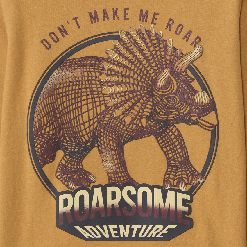 T-shirt manches longues print dinosaure garçon 