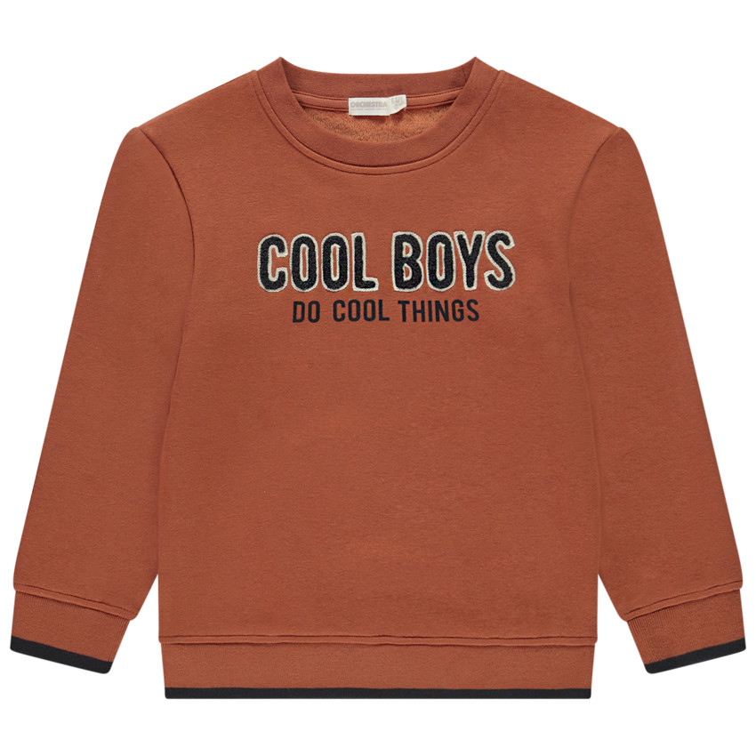 Sweatshirt in molleton en fluweel met borduursel voor jongens 
