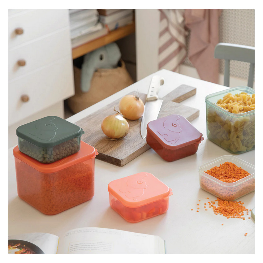 Boîtes de conservation 3 pièces L - Elphee Vert 