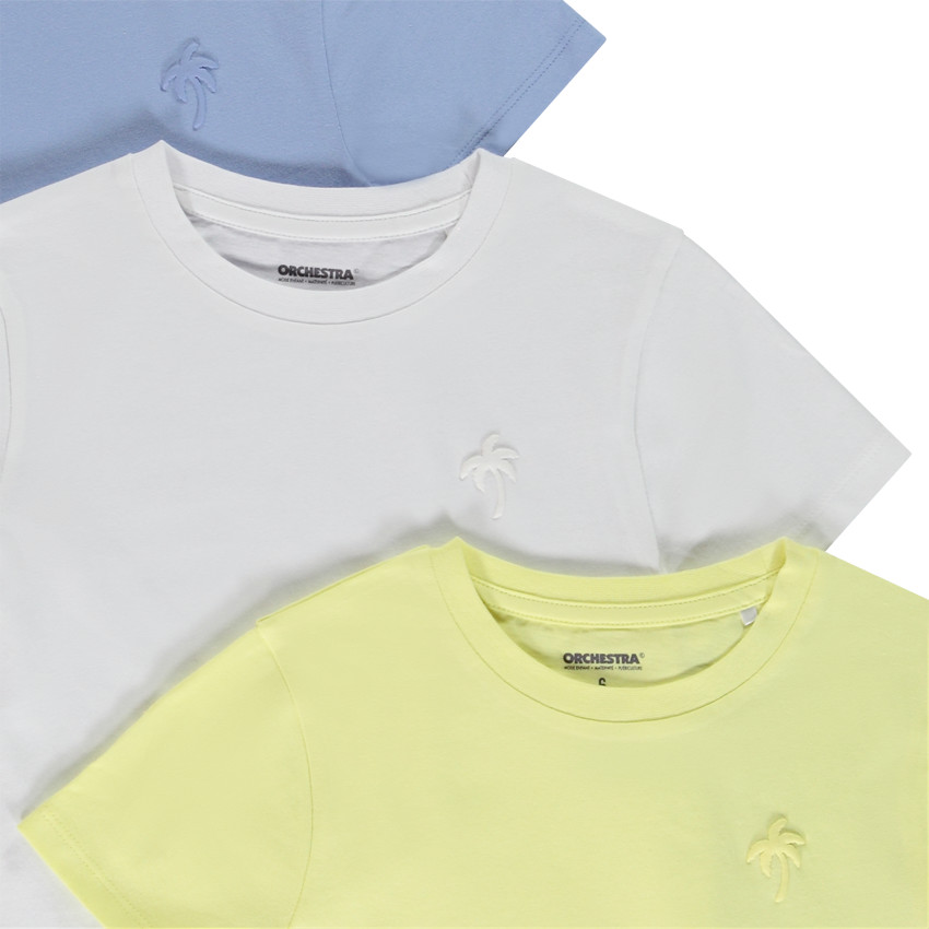 Lot de 3 t-shirts manches courtes puff print palmier pour garçon 