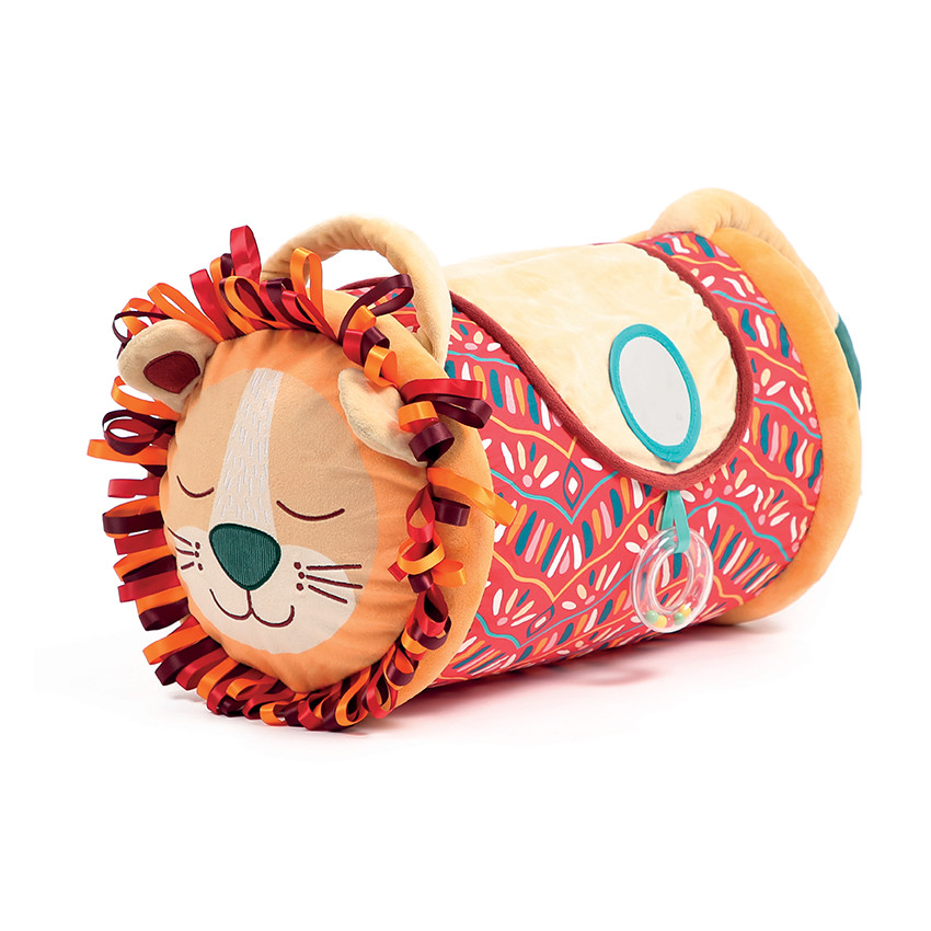 Activiteiten Roller Leeuw 