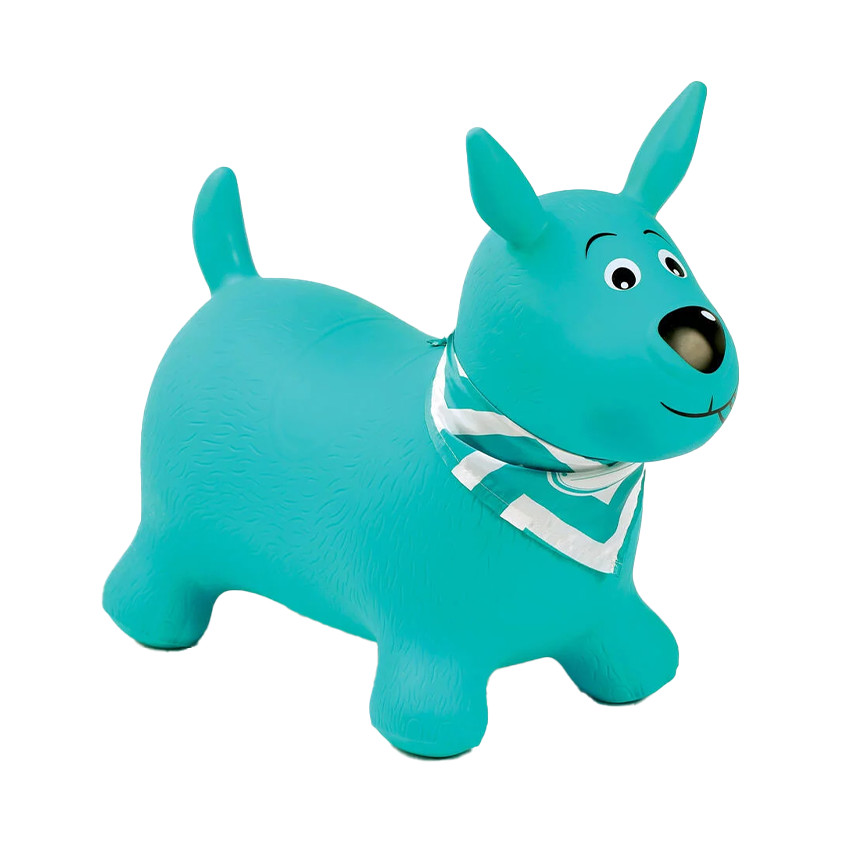 Mon chien sauteur bleu turquoise 
