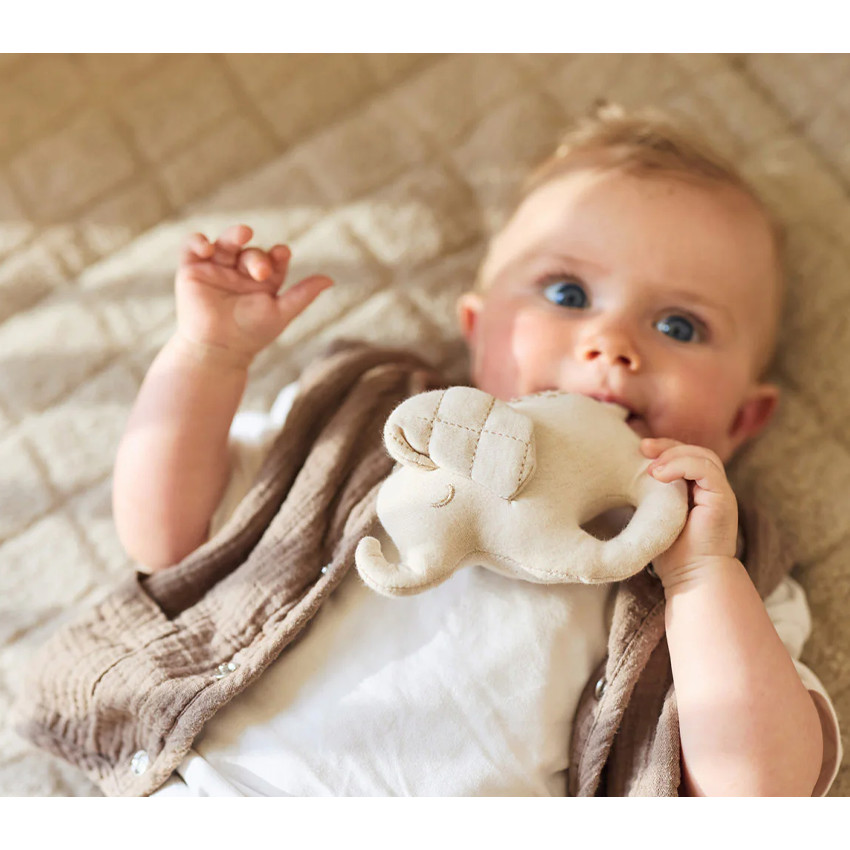 Rammelaar Elephant Tales 