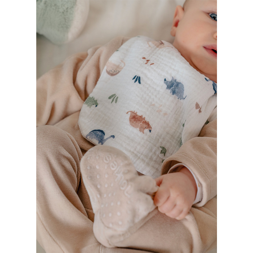 Set van 3 slabbetjes mousseline Bio Dinos 1-12m 
