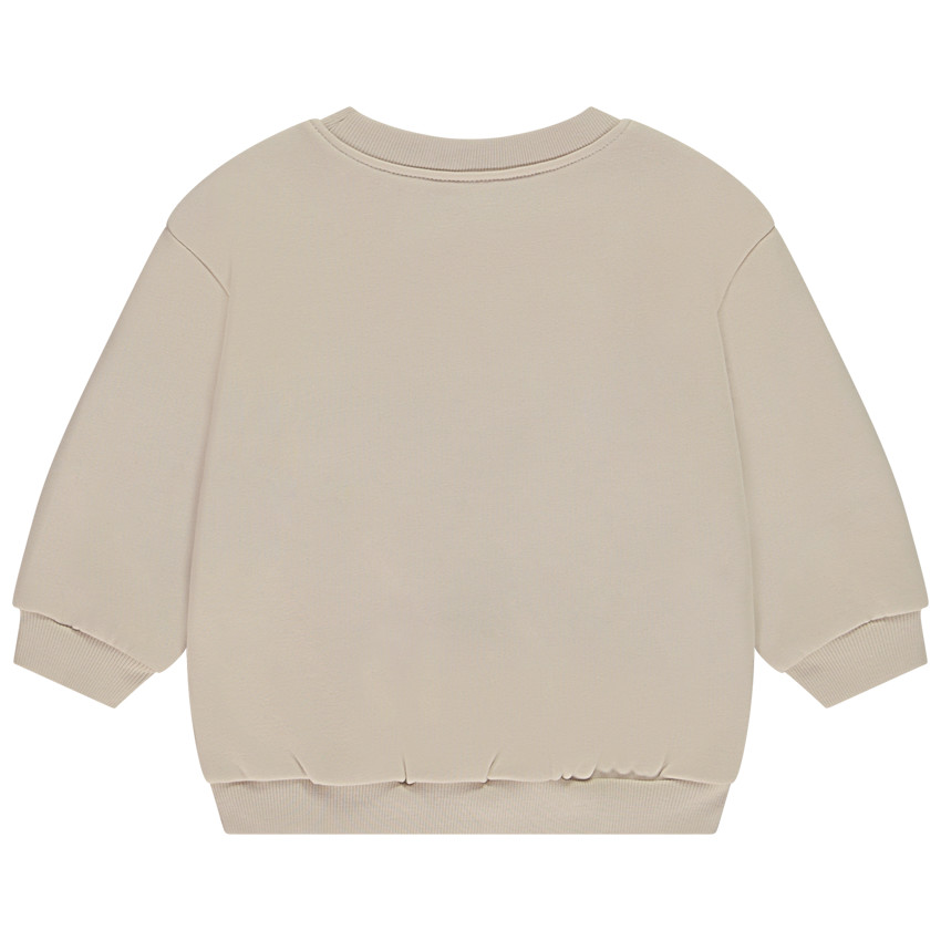 Sweat oversize puff print dinosaure pour bébé garçon 