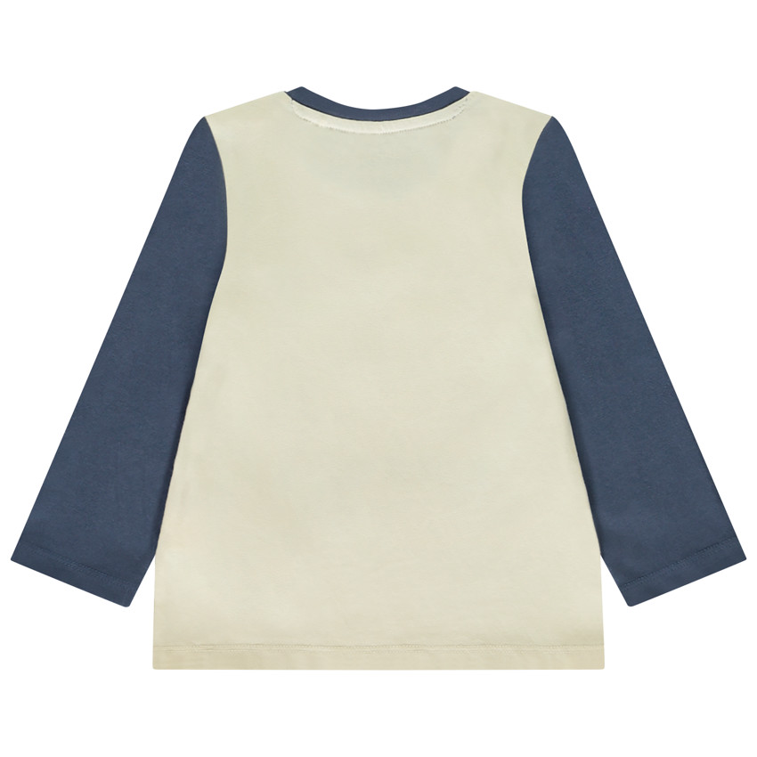 T-shirt manches longues effet color block print Arctique pour bébé garçon 