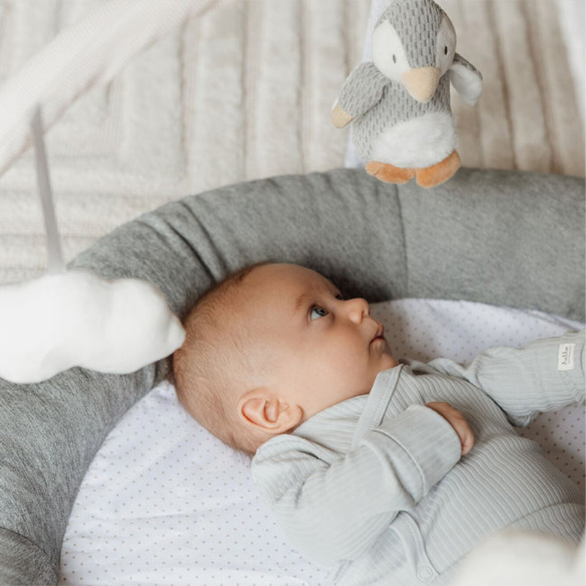 Tapis d'éveil et jeux Baby Gym Pingouin and Friends 0m+ 