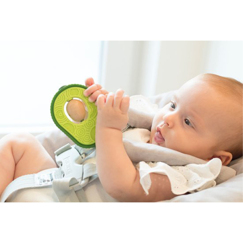 Jouet de dentition Avocat Vert 