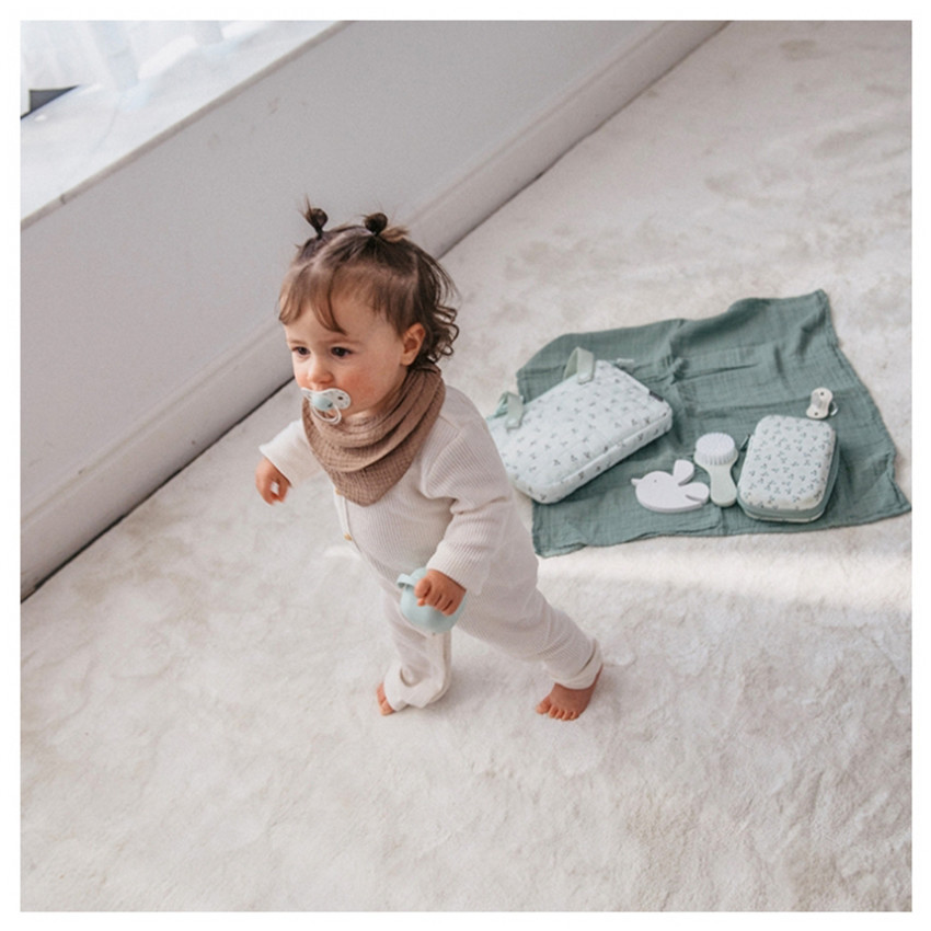 Set brosse et peigne Birdies 