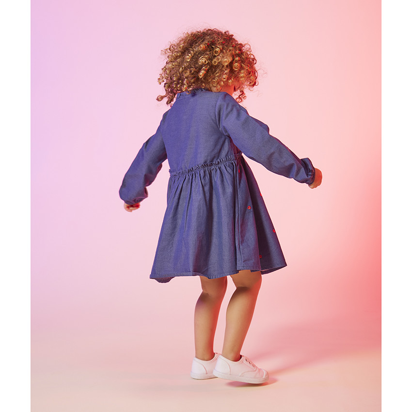 Robe manches longues broderies fantaisie pour bébé fille 