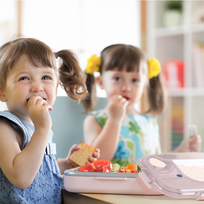 Lunchbox Wonder Le plateau à compartiment Rose Sheep 950ml 