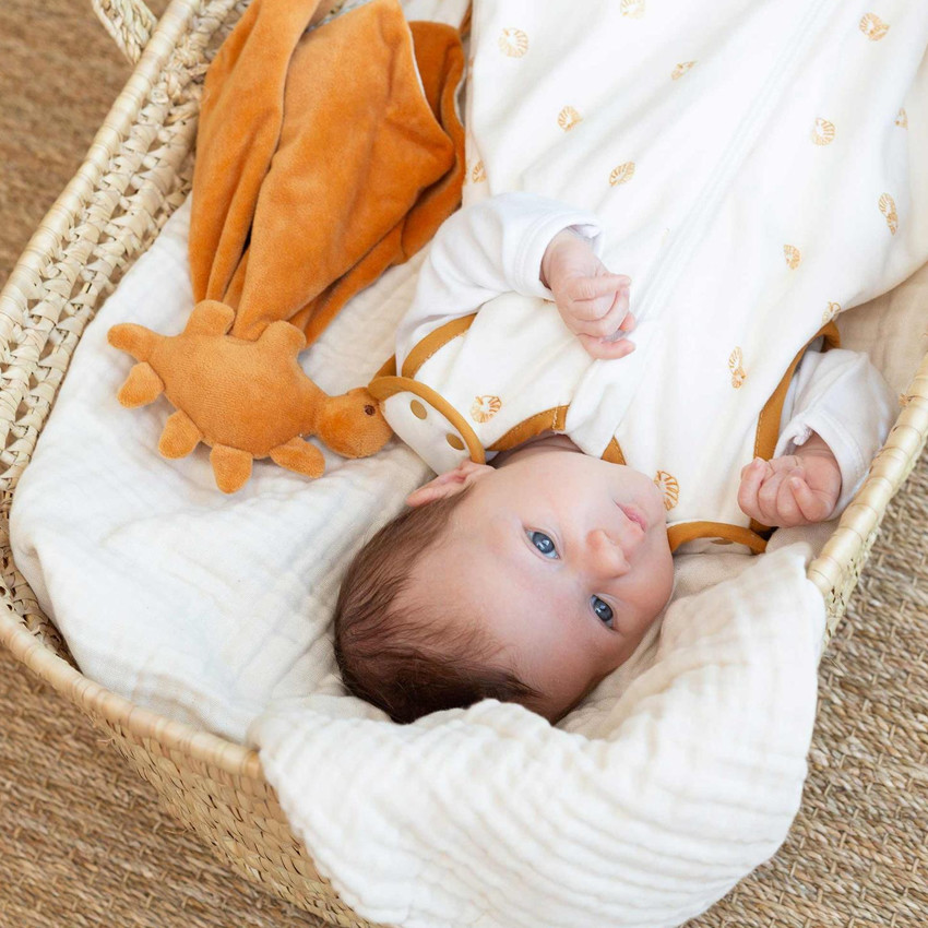 MISCELLANEAOUS DINOSAUR FLAT DOUDOU-DIPLODODO 