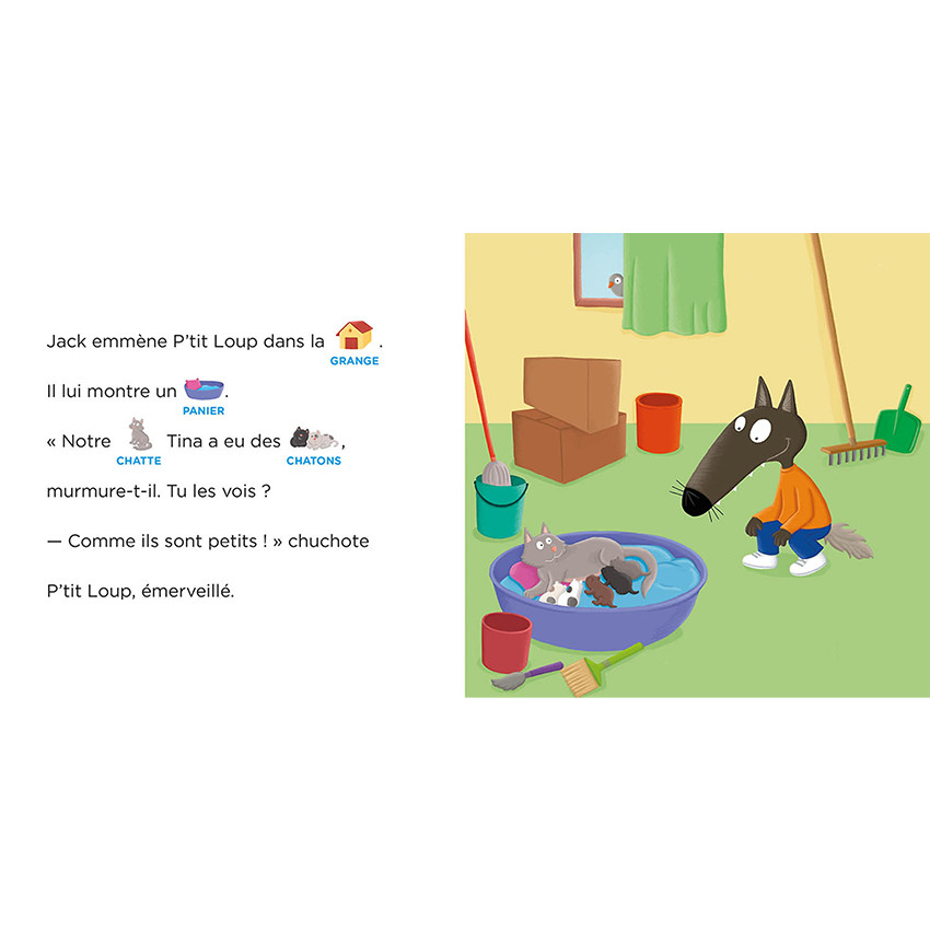 Livre "P'tit loup aime les bébés animaux 3ans+ 