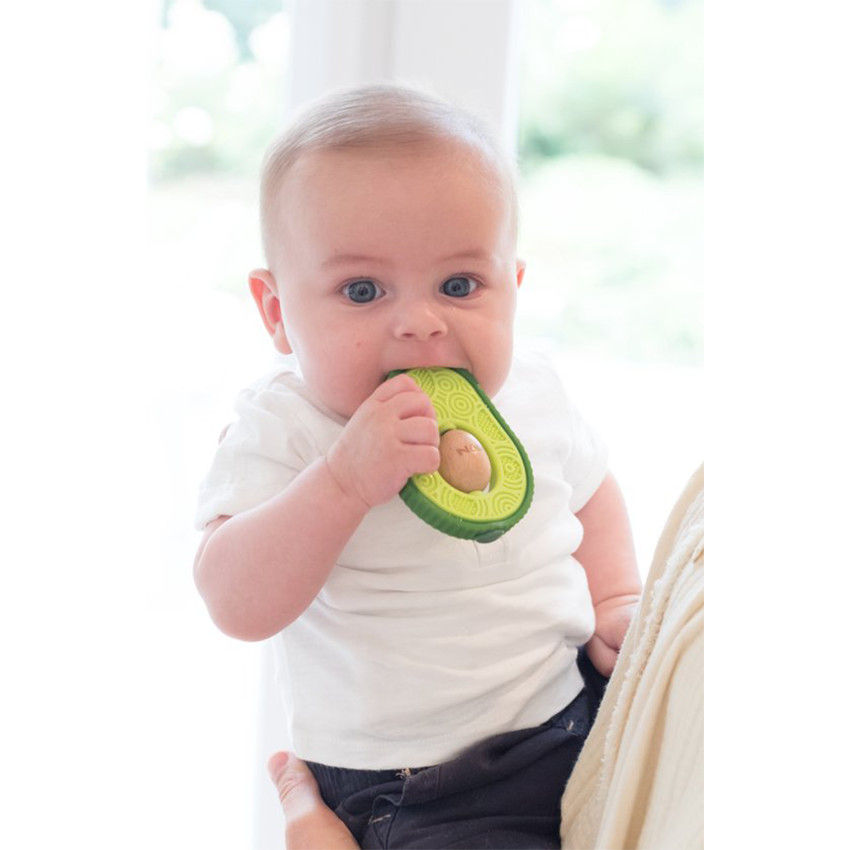 Jouet de dentition Avocat Vert 