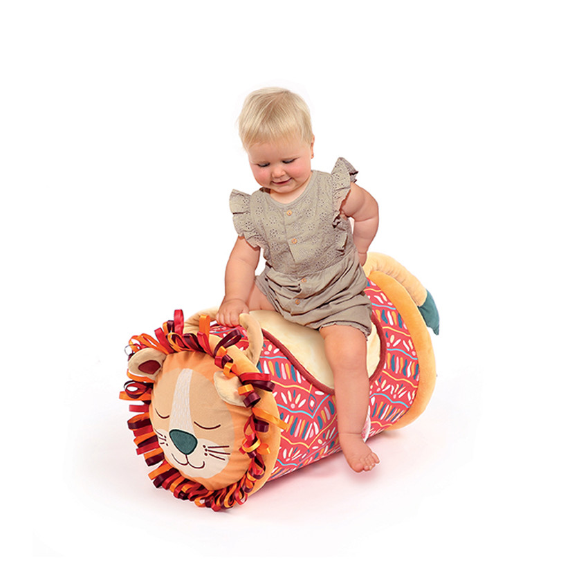 Activiteiten Roller Leeuw 