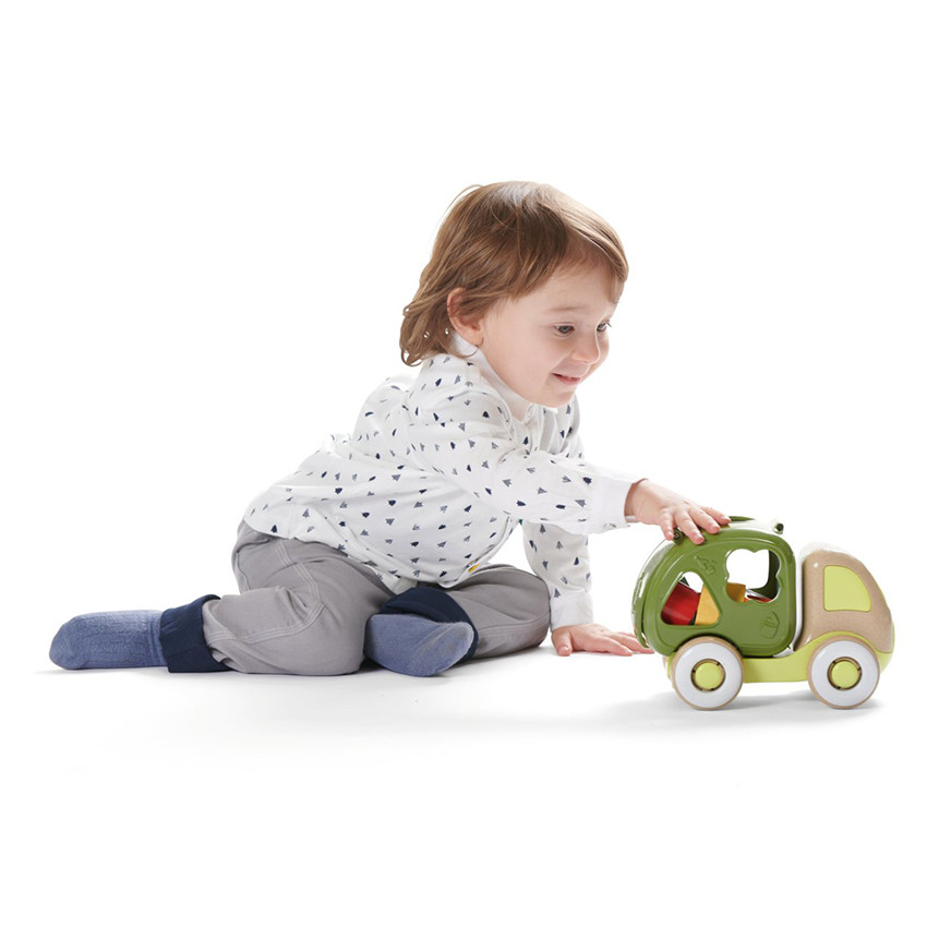 Lorry de vrachtwagen 