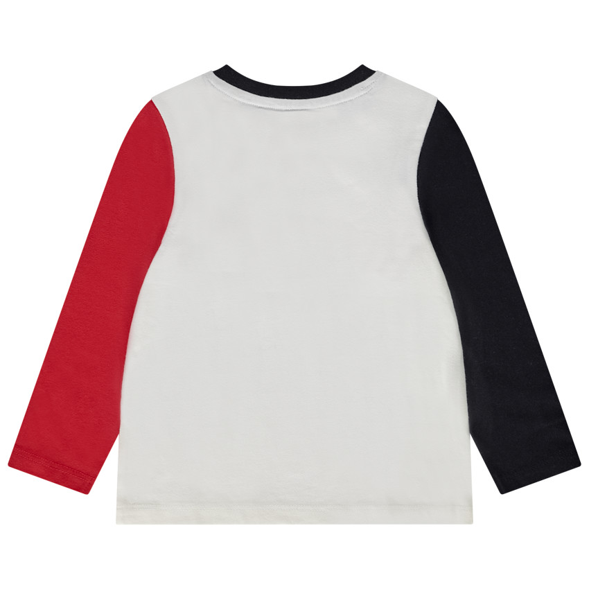 T-shirt manches longues effet color block Harry Potter Warner pour bébé garçon 